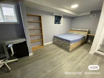 New renovation basement studio available from July 12 ,$65/day