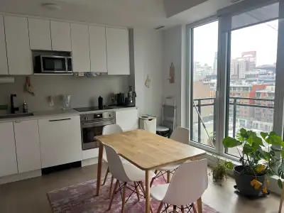 Nous recherchons une reprise de bail en février pour notre confortable appartement en centre-ville !...