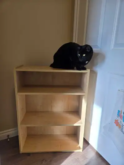 Wooden bookcase with 2 shelves, View more