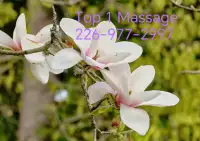 Best Massage! Best Price!