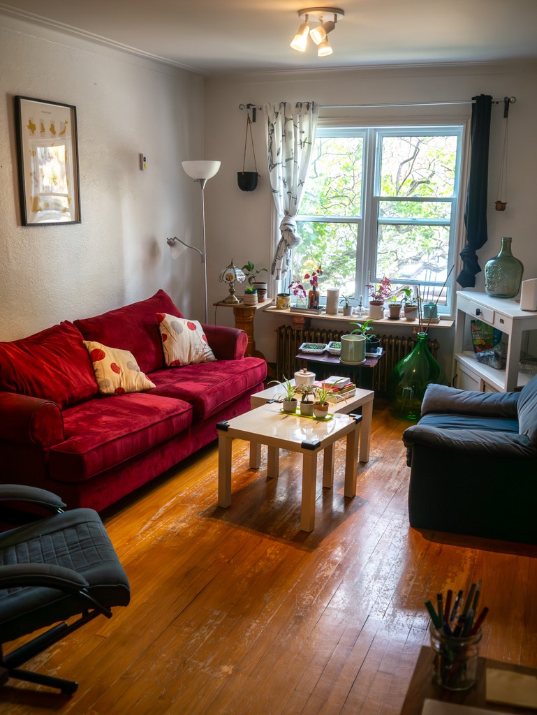 Chambre à louer dans une belle colocation à 4 Ahunstic/Villeray — photo 3
