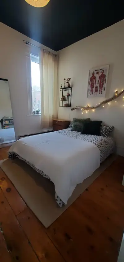 820 $ / mois – tout inclus Coloc de 2 personnes (parfois 3) Disponible à partir du 1er janvier pour...