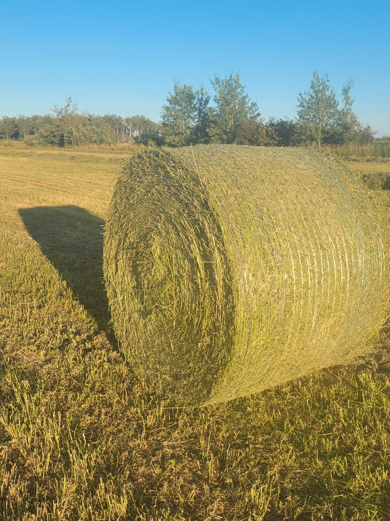 2022 hay Other Winnipeg Kijiji