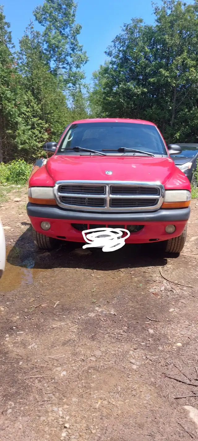 2004 Dodge Dakota