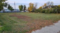 Vacant Commercial Lots in Coutts