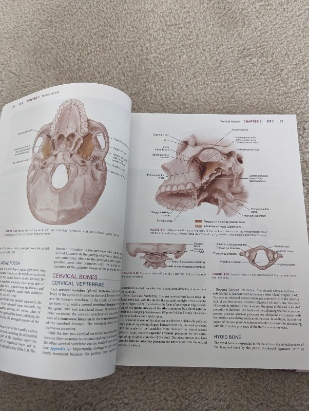 Illustrated Anatomy of the Head and Neck in Textbooks in Mississauga / Peel Region - Image 2