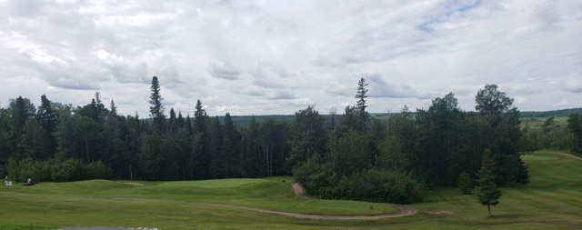 Amazing golf course lot for lease/Purchase dans Terrains à vendre  à Comté de Strathcona