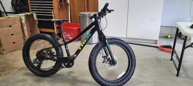 Trek Bike Roscoe 20 inch in Kids in Windsor Region - Image 2