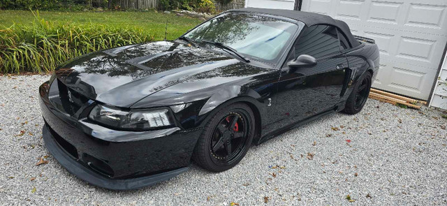 2001 Mustang GT (Cobra Clone) $15,000obo in Cars & Trucks in Leamington