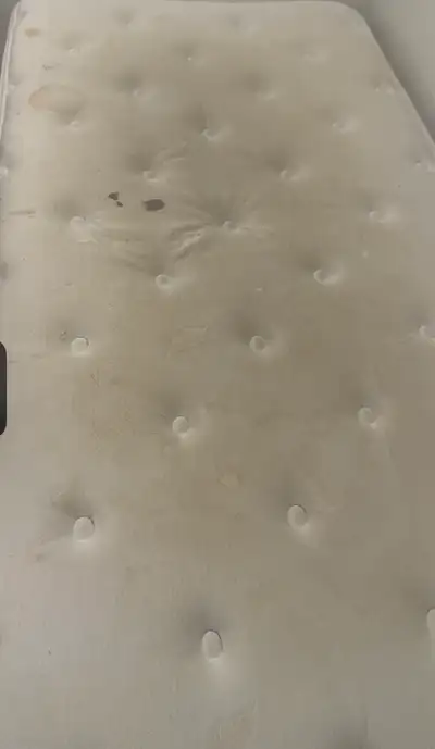 Mattress, Carpet & Upholstery Cleaning in Toronto & GTA, View more