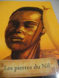 LIVRE ROMAN JEUNESSE LES PIERRES DU NIL de David Baudemont