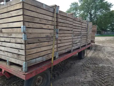 Looking for seasonal full time labourer for ginseng in the Vanessa Ontario area,no education or expe...