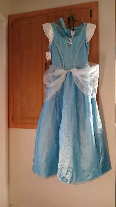 Cinderella ladies M Costume , View more