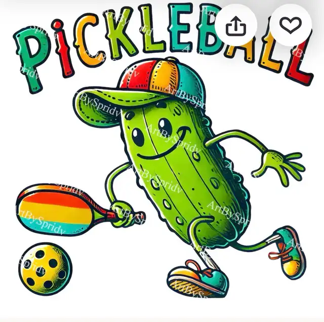  pickleball league