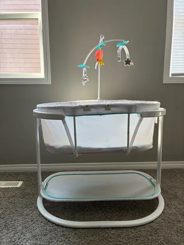 Newborn Bassinet 63611956140289120