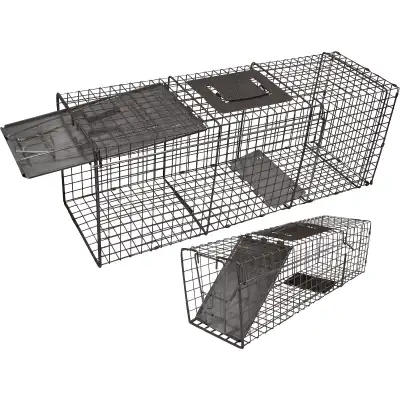 Pièges du type cage avec poignée de transport sécuritaire, pour capturer et relâcher vivants, des an...