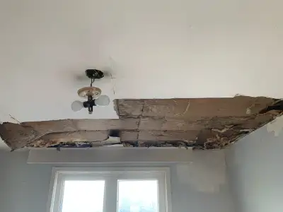Popcorn repair, Drywall Repair, Water damage, Ceiling repairs, View more