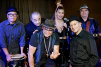 Pro. Soul Groove Show Band. Wants Groovin jazzyfunky latin .bass