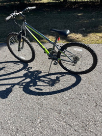 Supercycle Nitro 24” bicycle 