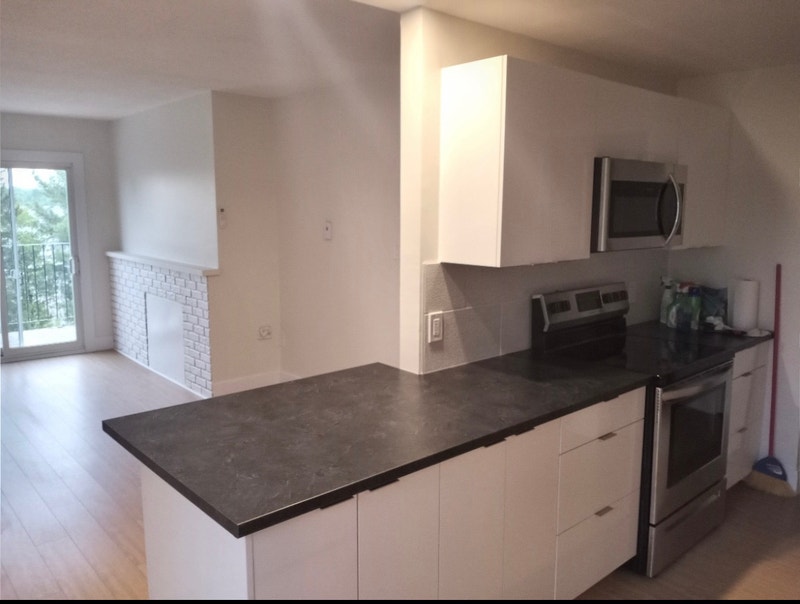PET FRIENDLY APARTMENTS FREDERICTON KIJIJI visual data 7