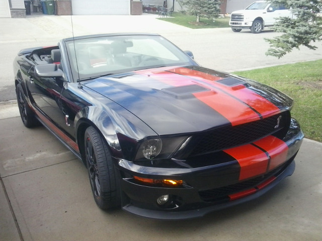 2008 Shelby GT500  Conv  18000 miles  Ph 587-471-611 one in Cars & Trucks in Calgary - Image 3
