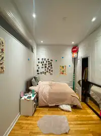 room to rent in Le Plateau Montreal for july and august