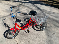Tri-Rider tricycle
