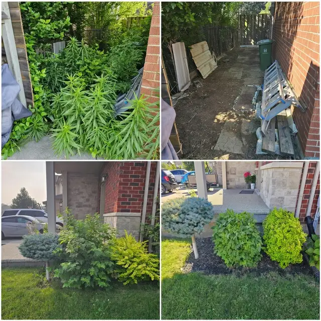 Fall Cleanup - Landscaping - Gardening in Haldimand & Niagara in Lawn, Tree Maintenance & Eavestrough in Hamilton - Image 11