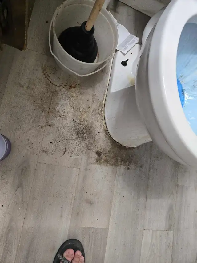 Cleaning515340100521185284