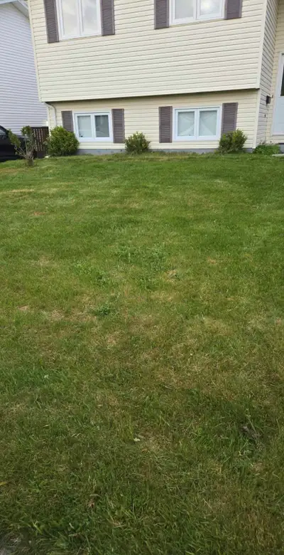 Lawn mowing and more, View more
