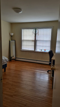 Subletting a spacious 1 bedroom near quinpool