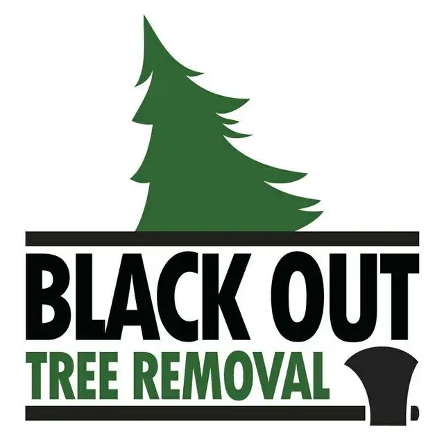 Black Out Tree Removal62866659819393124