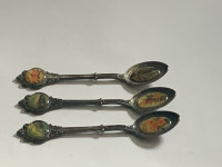 3 Wild Rose Vintage Edmonton Alberta collector spoons 4.5" Each