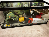 Leopard Gecko Tank & Supplies