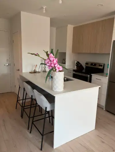 3 1/2 Appartement lumineux 3 1/2 Bright apartment