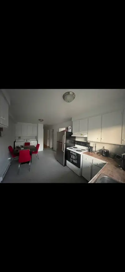 Chambre à louer