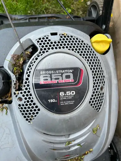 Briggs and Stratton 650, View more