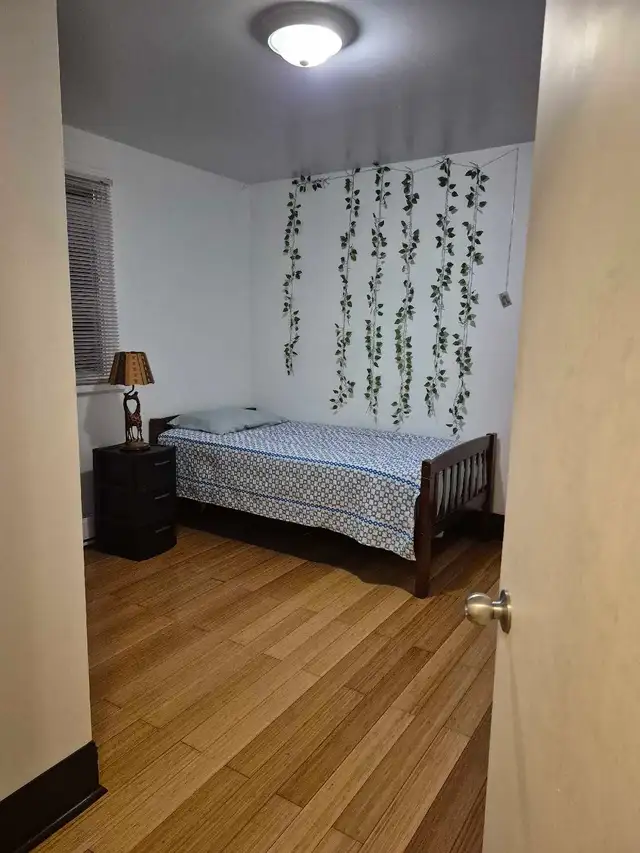 Chambre à louer in Room Rentals & Roommates in Longueuil / South Shore - Image 3