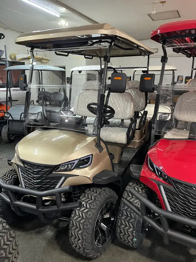 Custom Road-Legal Golf Carts – Loaded & Ready to Go!65561386517123129