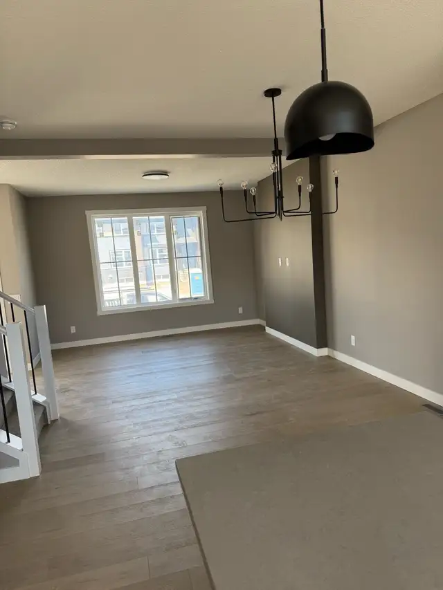 Professional Painter505382055162030087