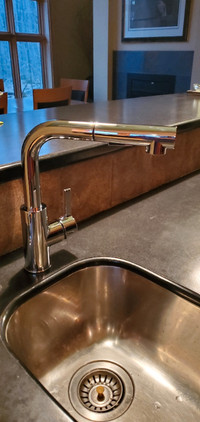 Kitchen Pull-Out faucet - bought new for $245