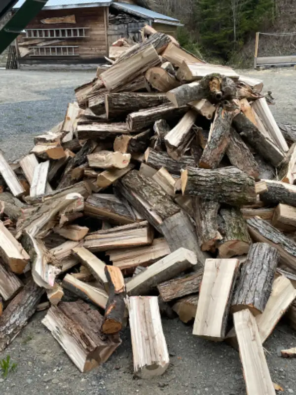 Bois de chauffage in Fireplace & Firewood in Edmundston - Image 5