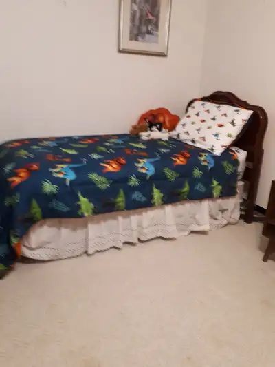 Avail Immed -  Furnished Room - $600 - shared util.