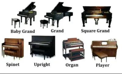 Movers for fridge, piano ,washer dryer all kind of heavy things, View more