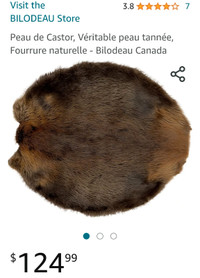 Looking for whole  beaver fur