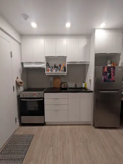 Mile-end - 1 bedroom 1 bathroom apartment ( 3 1/2)