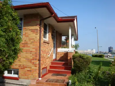 Bachelor for Rent (Half Basement)