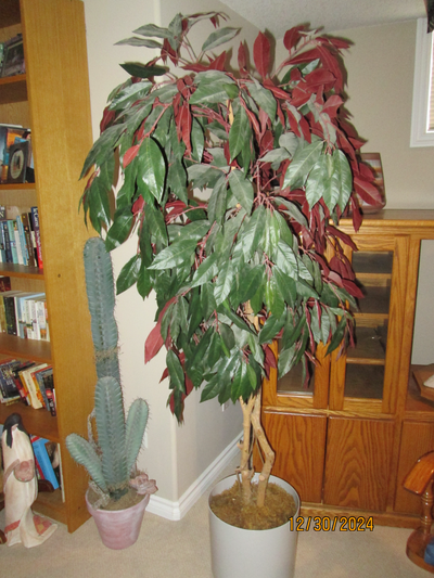 ARTIFICIAL SILK PLANT, View more