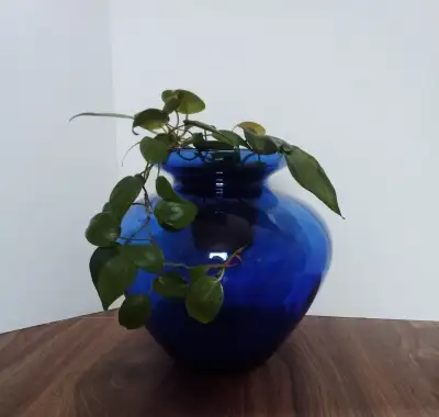 Cobalt Vase-Decor or Accent Piece- $22.00, View more