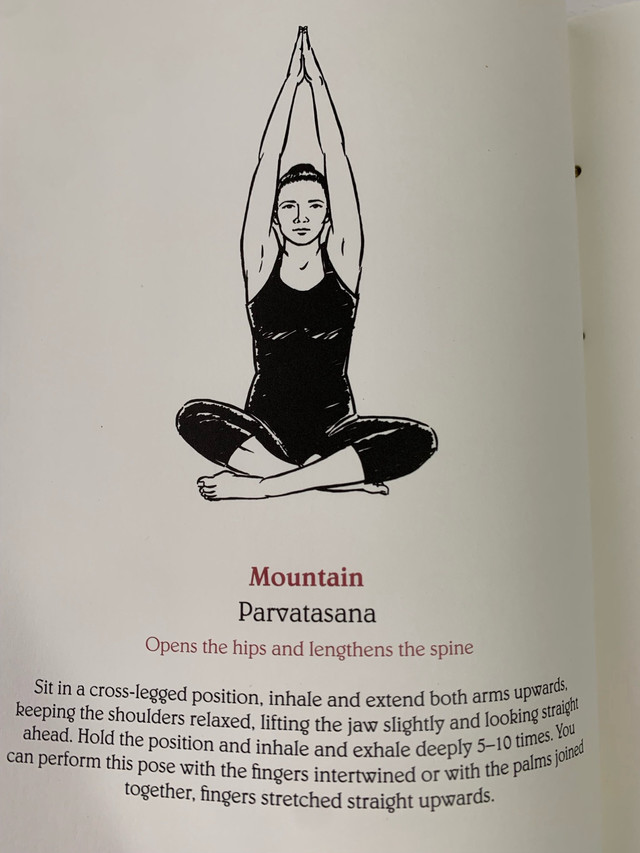 Yoga, Chinese Binding, like new, hardcover in Fiction in Ottawa - Image 4